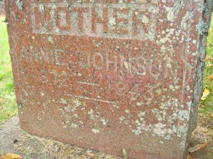 2013-394-johnson,-annie