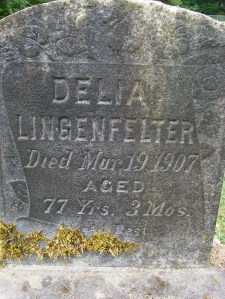 2013-484-lingenfelter,-delia