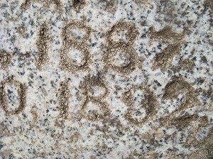 2013-533-matson,-gertie-a-(3)