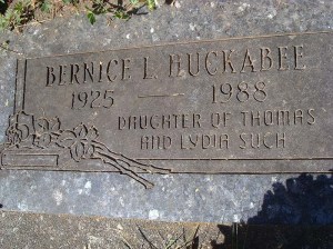 2013-364-huckabee,-bernice-l