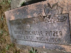 2013-676-pitzer,-denice-michelle