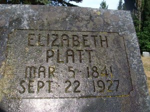 2013-679-platt,-elizabeth