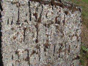 2013-030-babbitz,-margaret-(2)