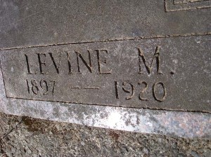 2013-045-bailey,-levine-m