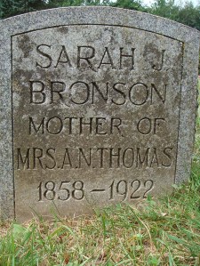2013-108-bronson,-sarah-j