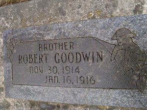 2013-262-goodwin,-robert