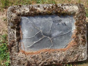 2013-295-haradon,-albert-(1)