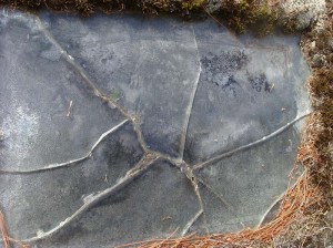 2013-296-haradon,-albert-(2)