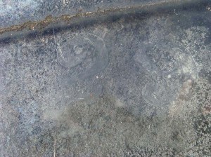 2013-297-haradon,-albert-(3)