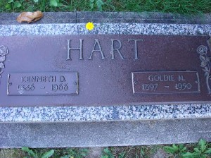 2013-315-hart,-goldie-kenneth-companion