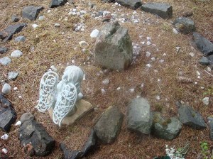 2013-328-heaward,-jeanette-phil-companion-(1)